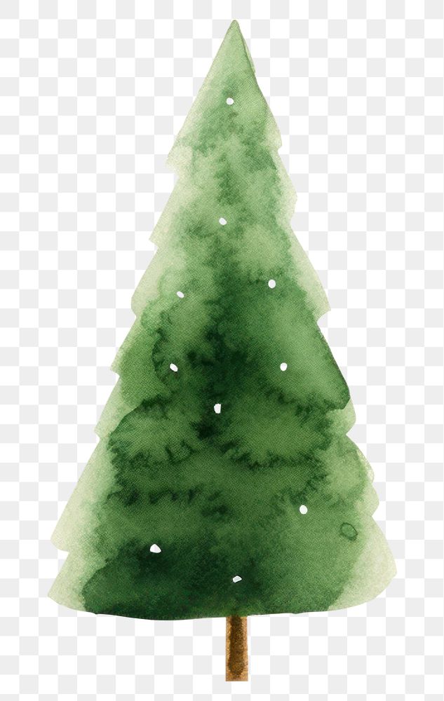 PNG  Christmas trees christmas plant fir. AI generated Image by rawpixel.
