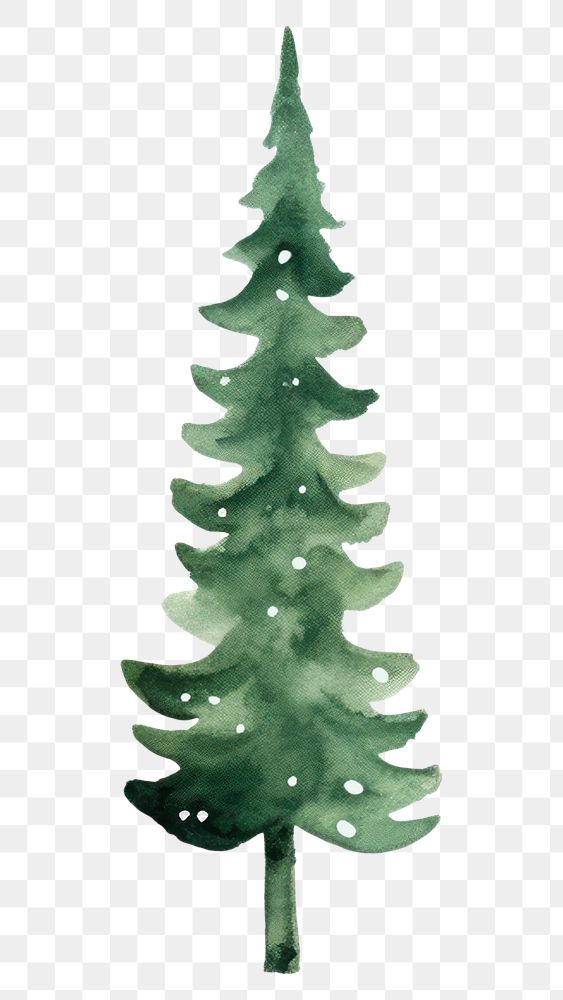 PNG  Christmas trees christmas plant pine. AI generated Image by rawpixel.