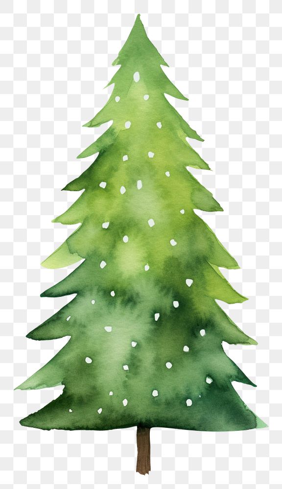 PNG  Christmas trees christmas plant white background. AI generated Image by rawpixel.