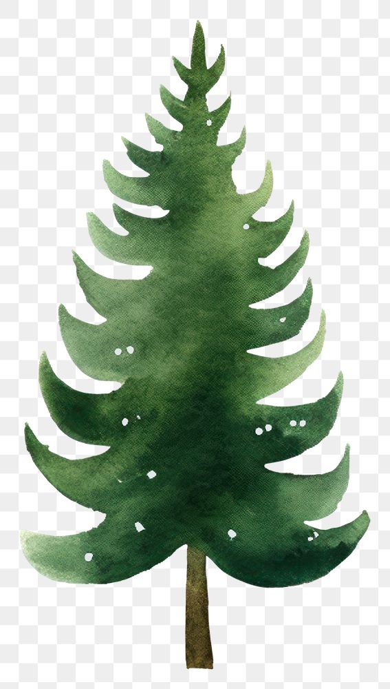 PNG  Christmas trees christmas plant leaf. AI generated Image by rawpixel.