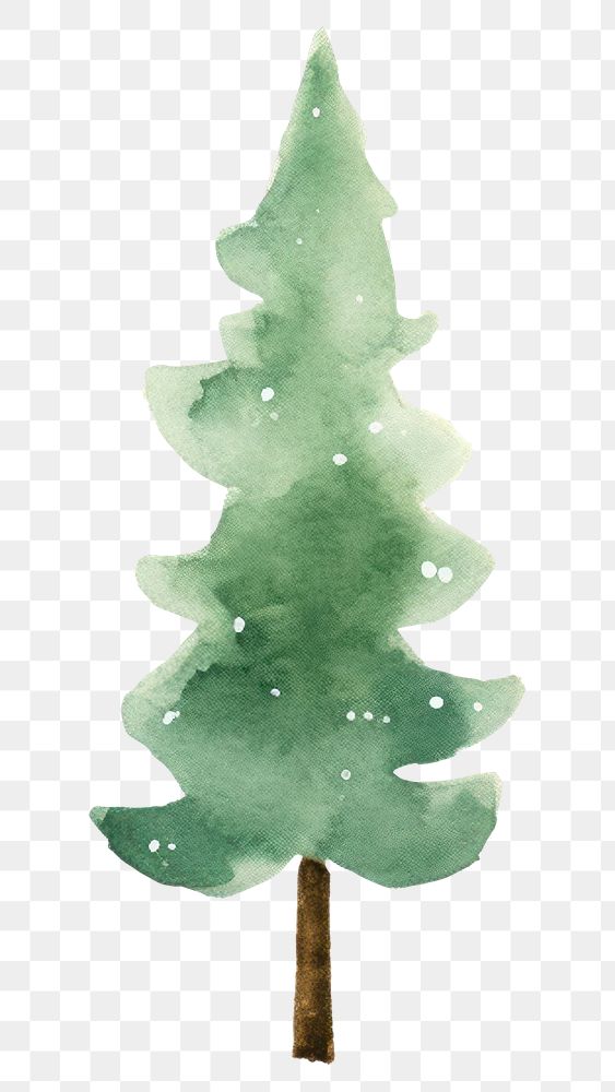 PNG  Christmas trees christmas plant leaf. AI generated Image by rawpixel.