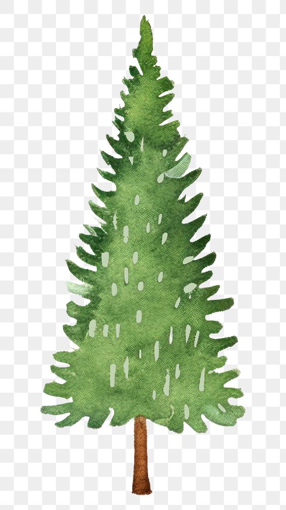PNG  Christmas trees christmas plant pine. AI generated Image by rawpixel.