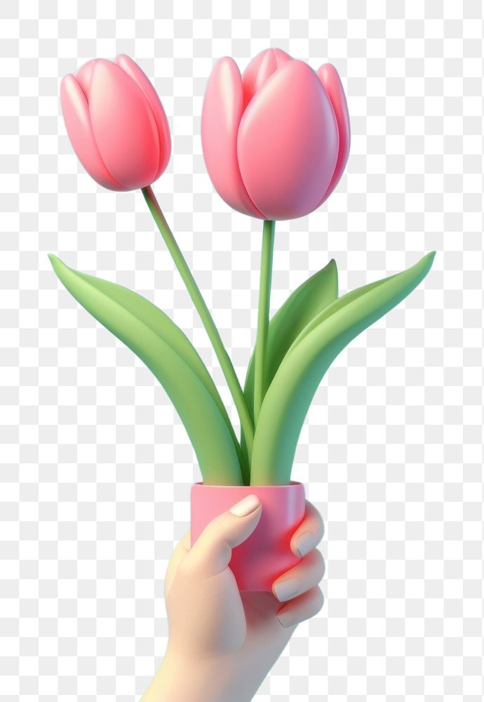 PNG Hand holding a tulip bouqet flower plant inflorescence. AI generated Image by rawpixel.