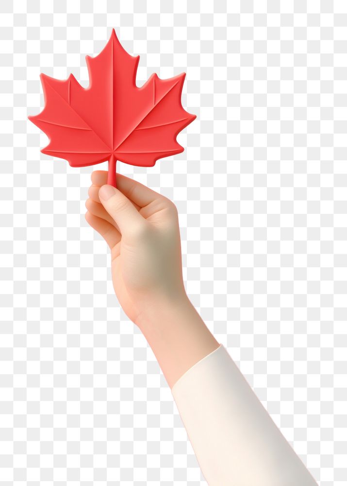 PNG Hand holding a maple leaf plant solution finger. AI generated Image by rawpixel.