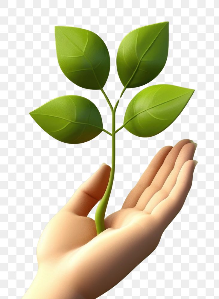 PNG Hand holding a green leaf finger plant clover. AI generated Image by rawpixel.