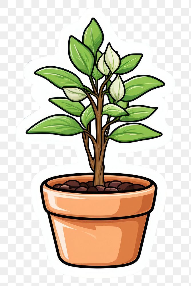 PNG  Potted plant sprout leaf houseplant terracotta. AI generated Image by rawpixel.
