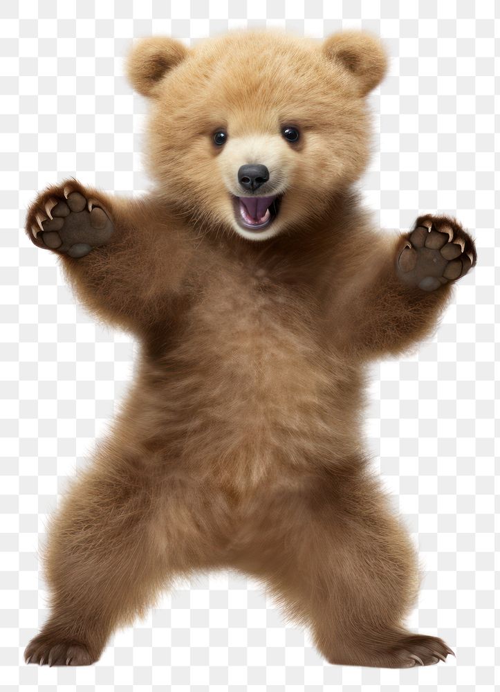 PNG Happy smiling dancing baby bear mammal animal white background. AI generated Image by rawpixel.
