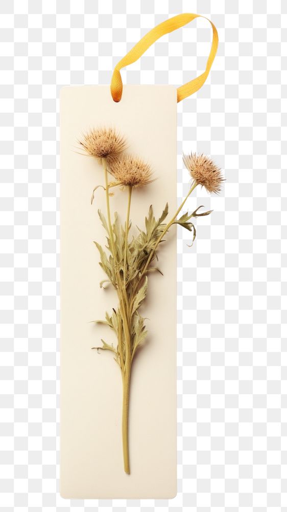 PNG  A vintage bookmark flower plant white background. AI generated Image by rawpixel.