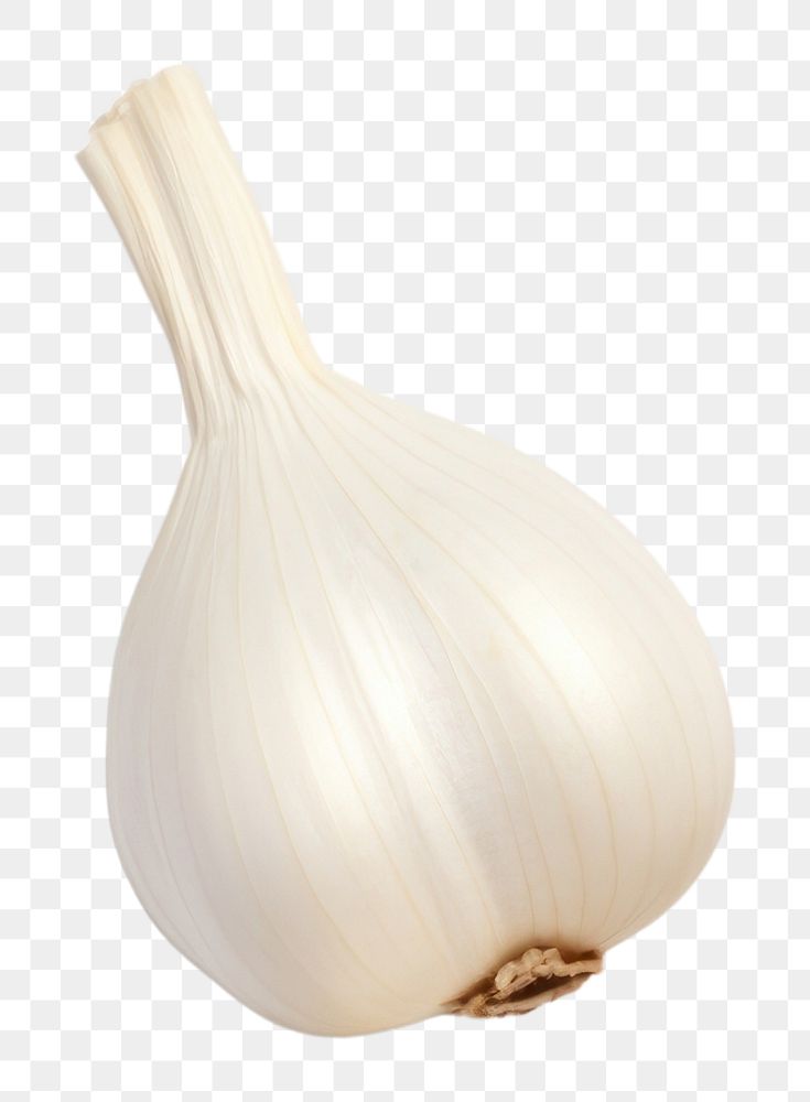 PNG  A garlic vegetable white plant. AI generated Image by rawpixel.