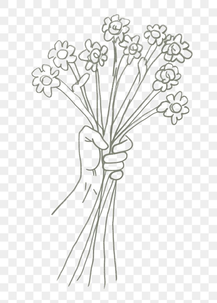 PNG  Drawing sketch flower plant. AI generated Image by rawpixel.