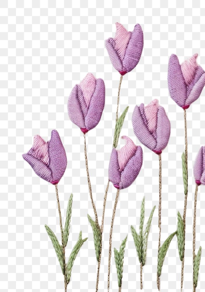PNG Frame border little tulip pattern backgrounds embroidery. AI generated Image by rawpixel.