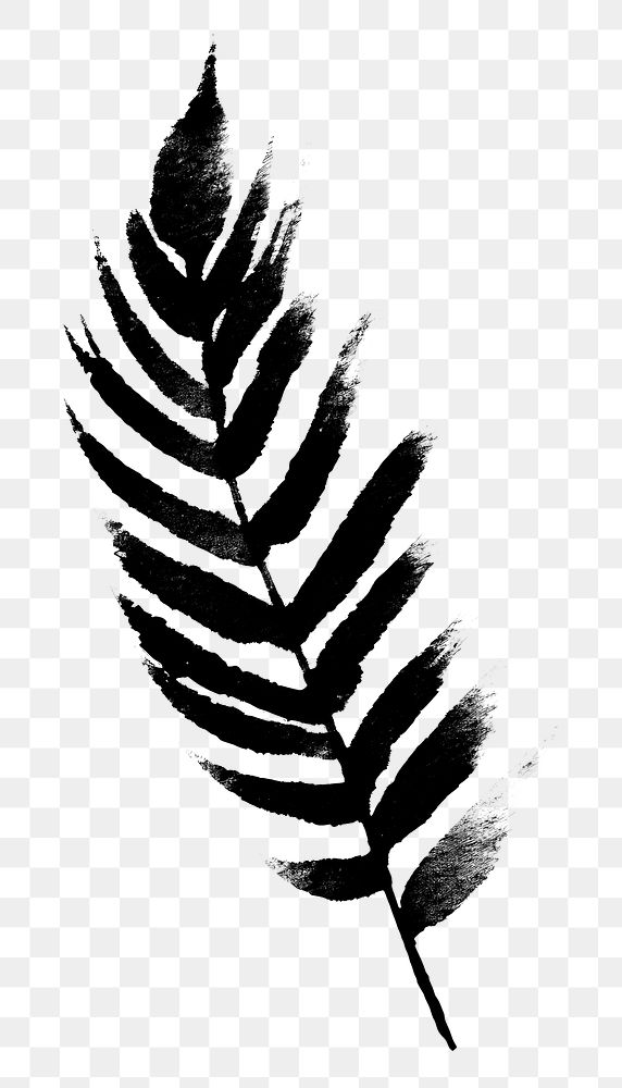 PNG Plant leaf drawing sketch black. AI generated Image by rawpixel.