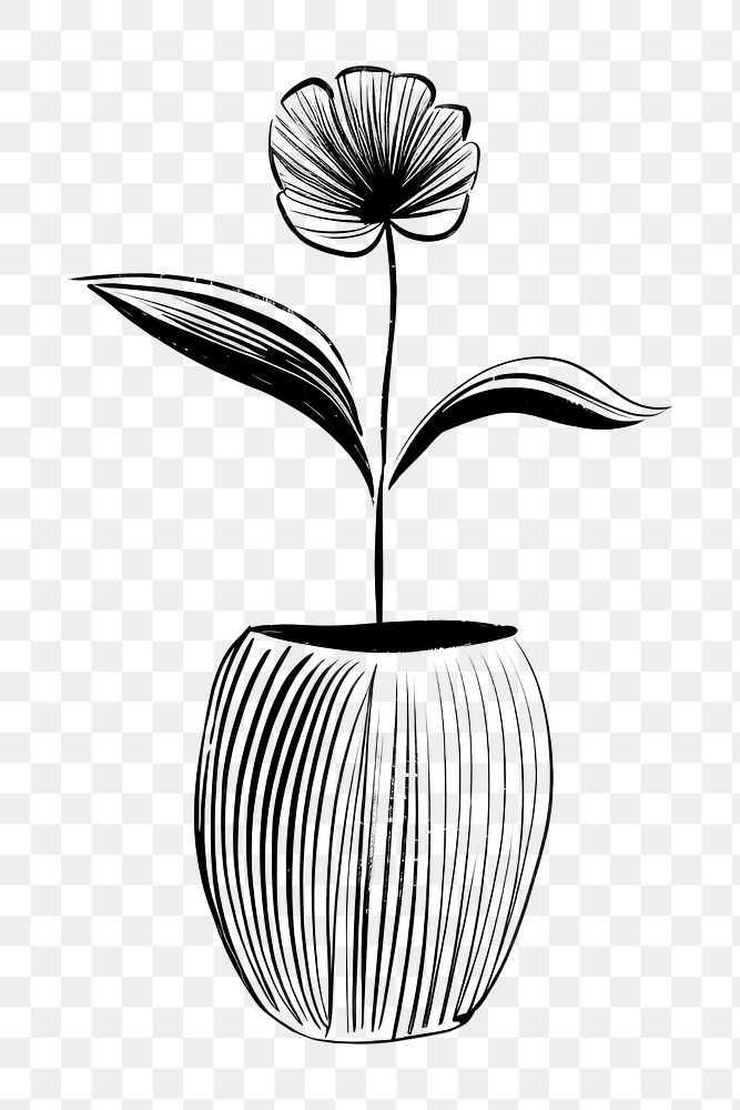 PNG Flower plant drawing sketch. AI generated Image by rawpixel.