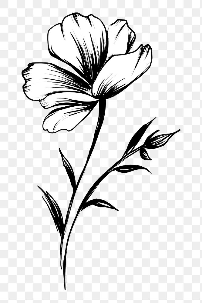 PNG Flower pattern drawing sketch. AI generated Image by rawpixel.