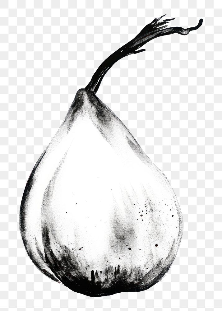 PNG Fruit vegetable drawing garlic. AI generated Image by rawpixel.