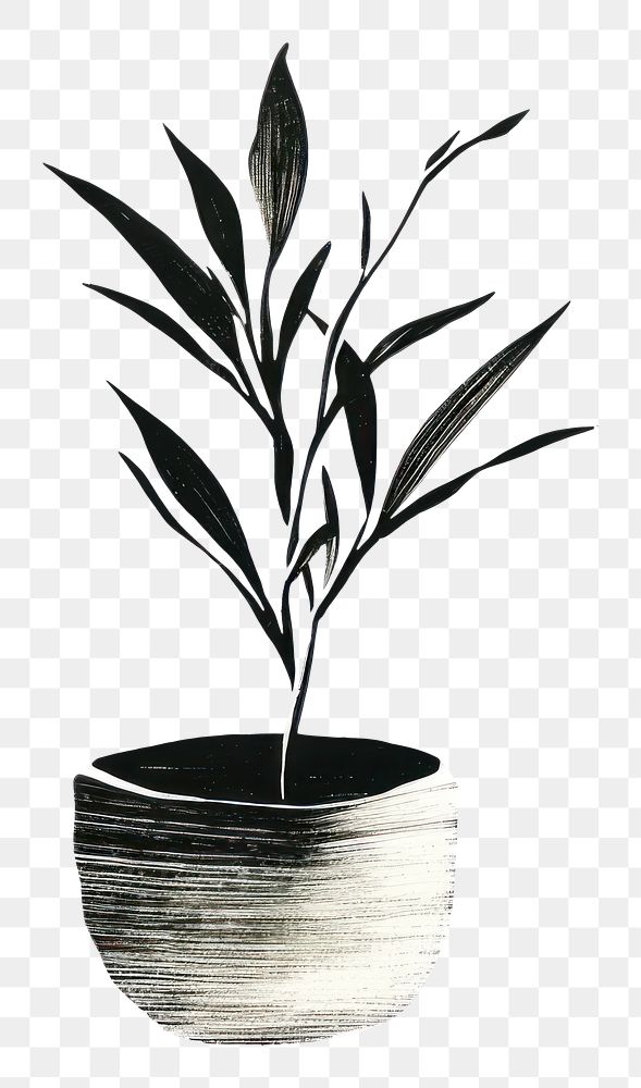 PNG Indoor plant vase leaf white background. AI generated Image by rawpixel.