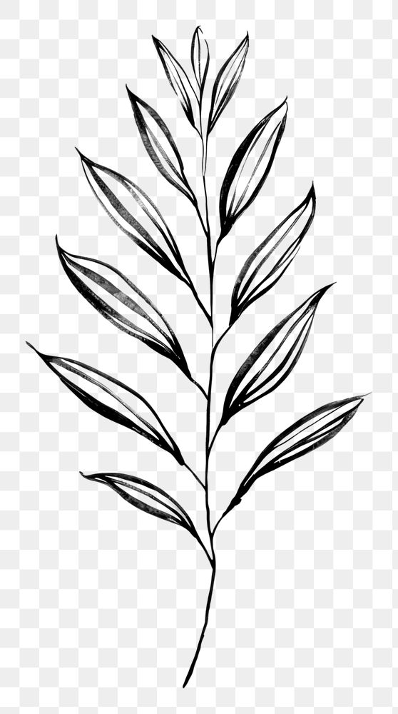 PNG Plant leaf tree pattern drawing sketch. AI generated Image by rawpixel.