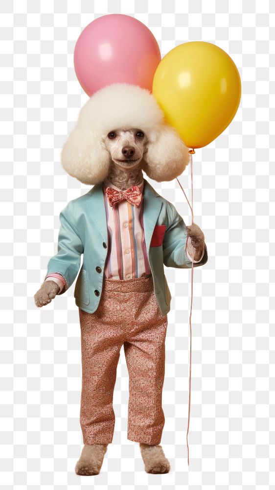 PNG Dog holding birthday balloons. AI generated Image by rawpixel.