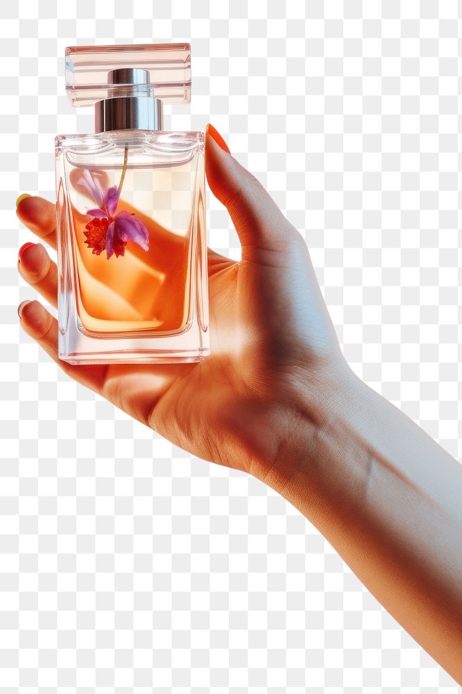 PNG Hand holding perfume cosmetics bottle refreshment. AI generated Image by rawpixel.