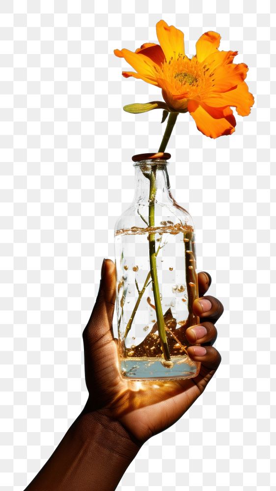 PNG Flower holding bottle plant. AI generated Image by rawpixel.
