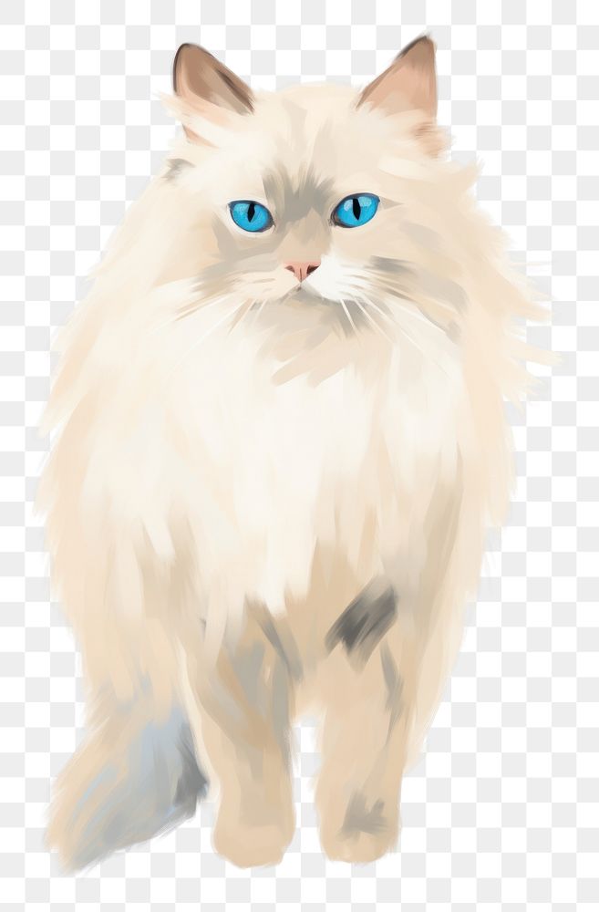 PNG Ragdoll Cat mammal animal | Premium PNG - rawpixel