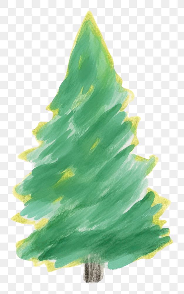 PNG Christmas tree plant leaf fir. AI generated Image by rawpixel.