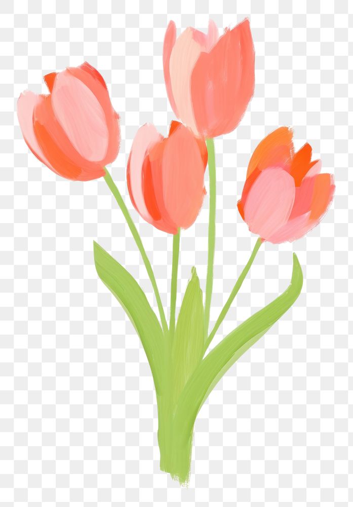 PNG Bouquet tulip flower plant white background. AI generated Image by rawpixel.