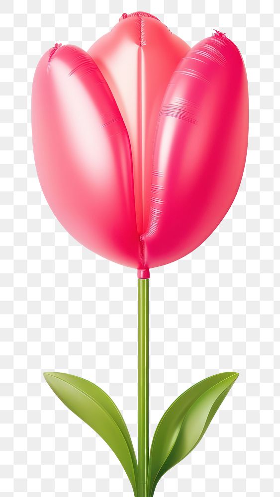 PNG Tulip flower balloon petal plant. AI generated Image by rawpixel.