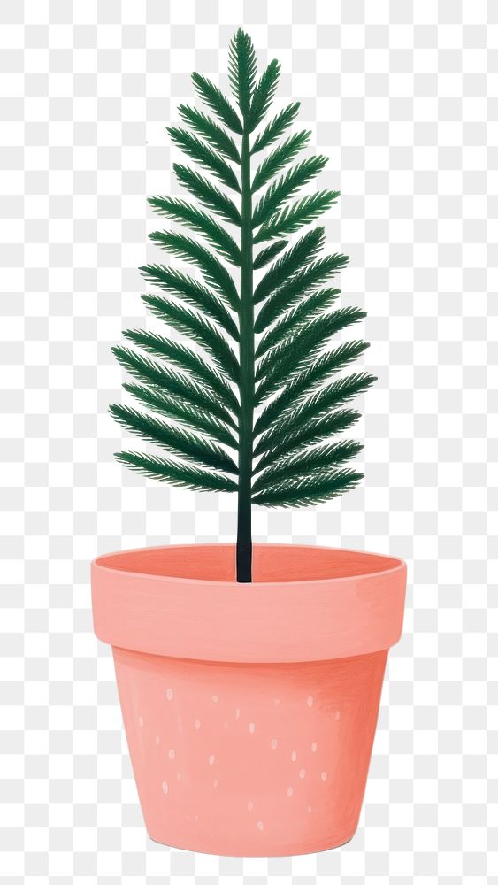 PNG Christmas tree pot plant leaf fir. AI generated Image by rawpixel.