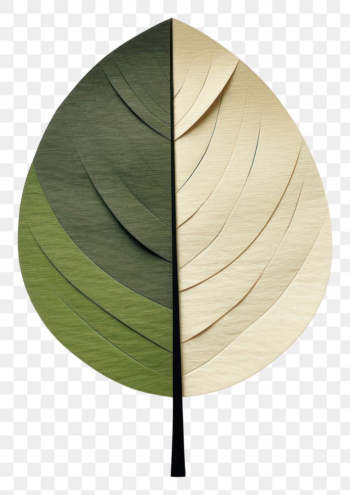 PNG  Leaf plant art handicraft. AI generated Image by rawpixel.