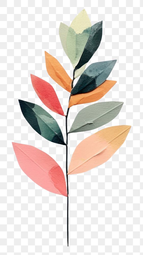PNG Plant art leaf white background