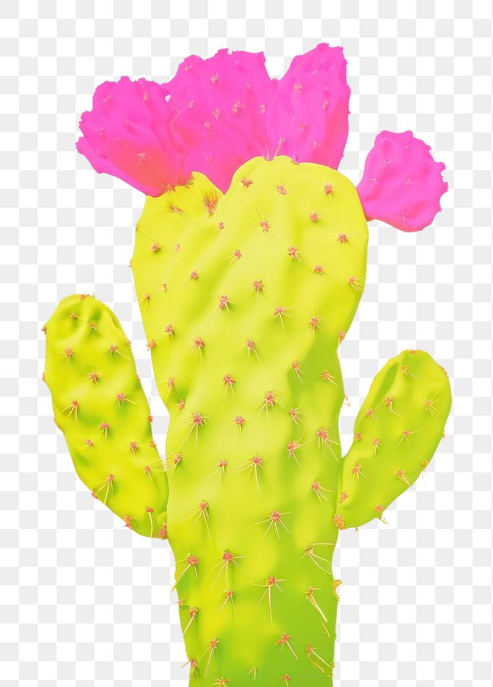 PNG Cactus plant representation creativity. AI generated Image by rawpixel.