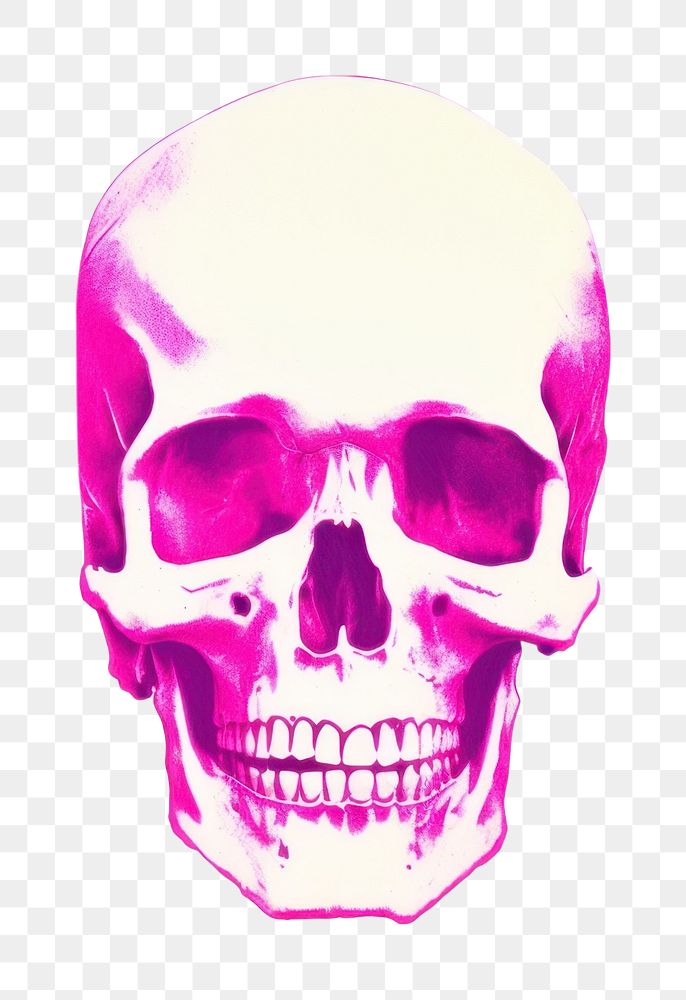 PNG Skull white background anthropology creativity. AI generated Image by rawpixel.