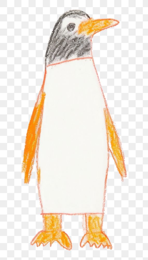 PNG  Penguin drawing animal bird. 