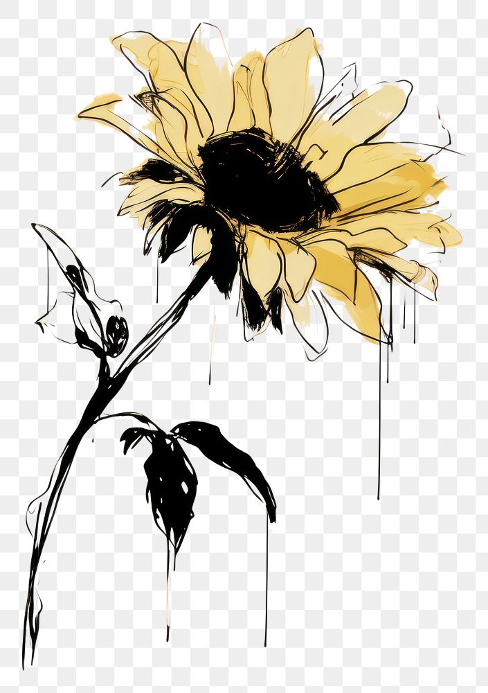 PNG Sunflower sunflower drawing sketch. AI generated Image by rawpixel.