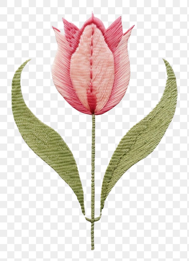 PNG Little tulip frame pattern embroidery flower. AI generated Image by rawpixel.