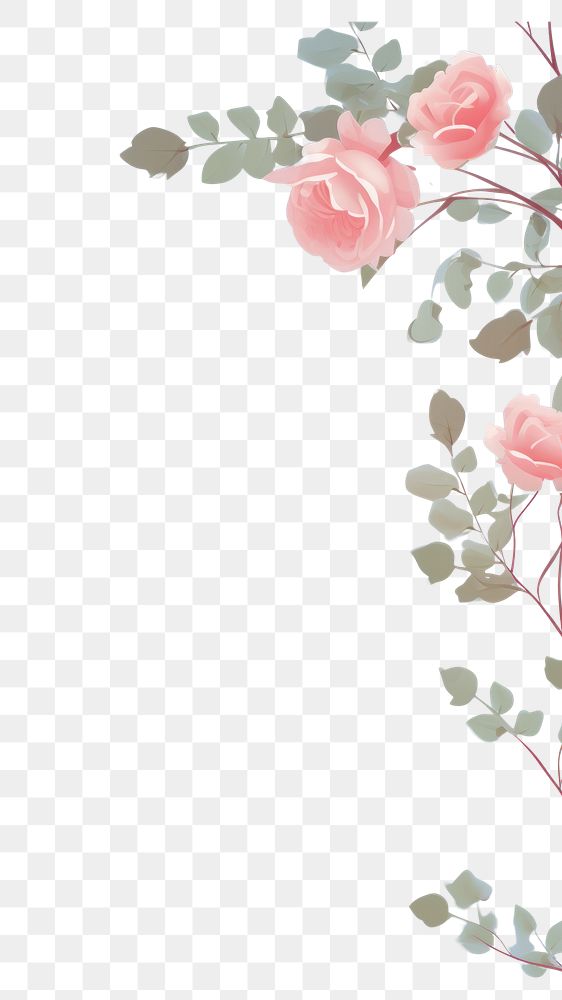 PNG  Rose outdoors nature flower. AI generated Image by rawpixel.