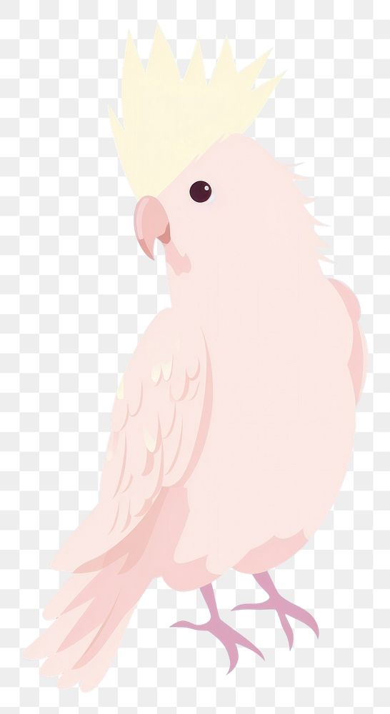 PNG  Cockatiel cockatoo animal parrot. AI generated Image by rawpixel.