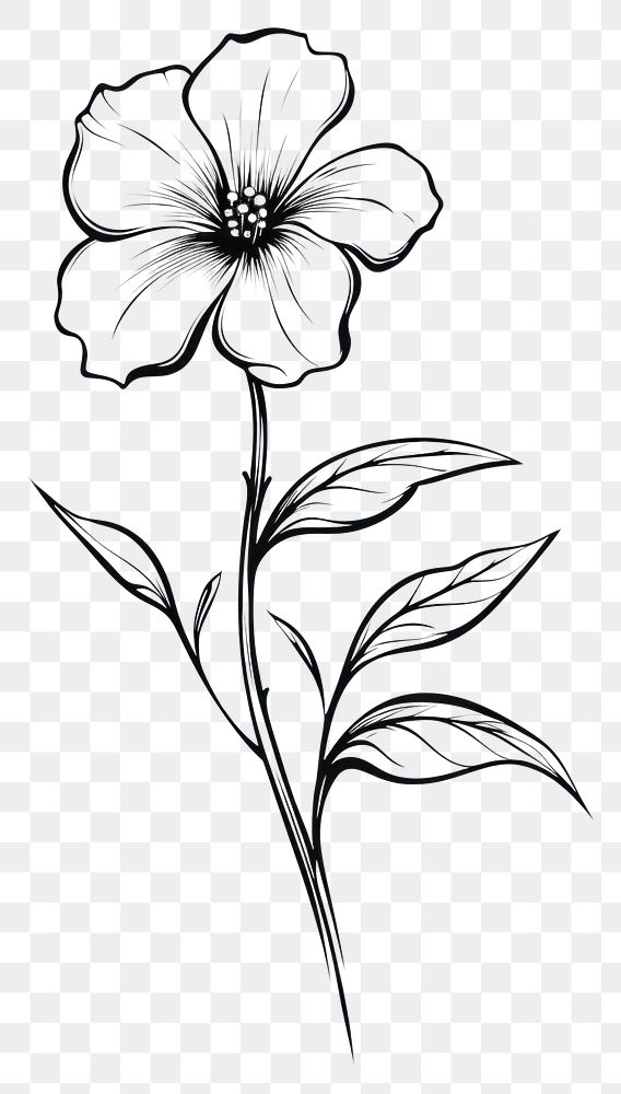 PNG  Beautiful flower sketch drawing plant. AI generated Image by rawpixel.