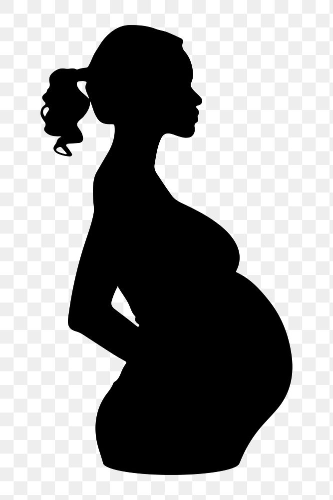 PNG  Pregnancy silhouette portrait adult.