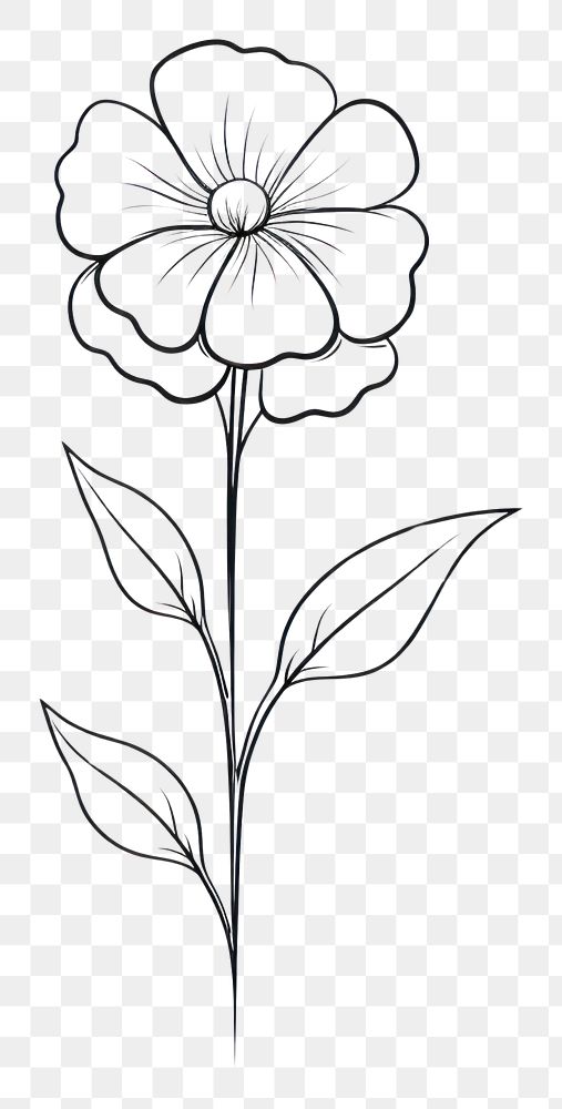 PNG  Flower sketch drawing plant. AI generated Image by rawpixel.