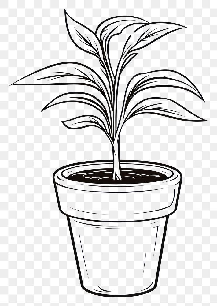 PNG  Indoor plant sketch drawing line. AI generated Image by rawpixel.
