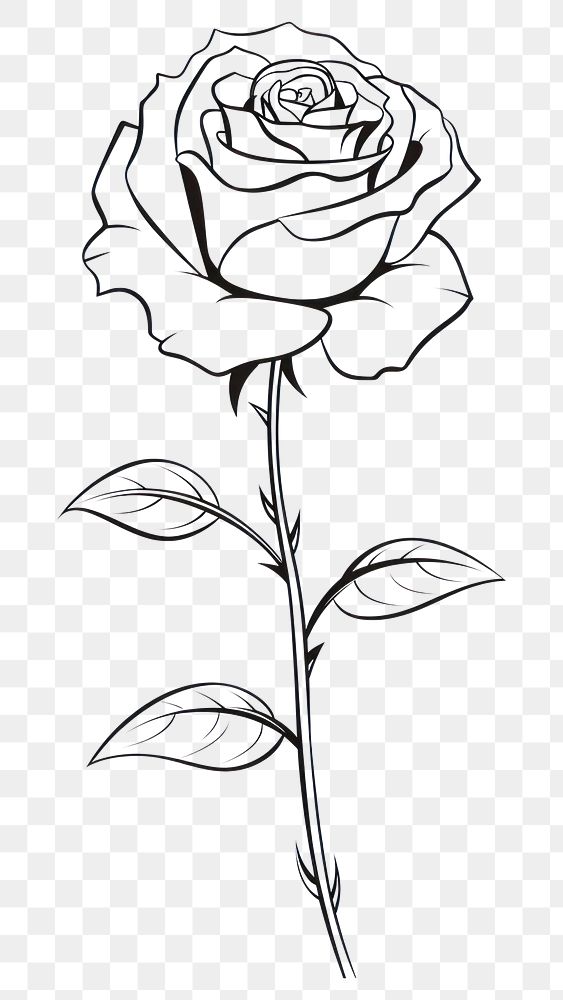 PNG  Rose drawing flower sketch. AI generated Image by rawpixel.