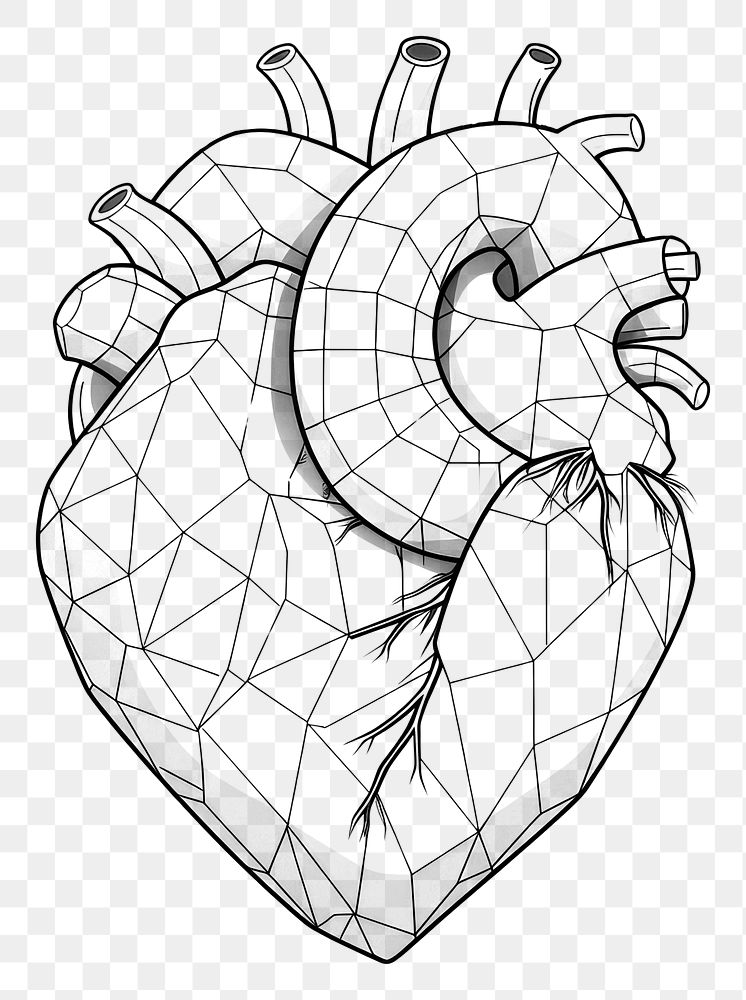 PNG  Human heart sketch drawing line. AI generated Image by rawpixel.