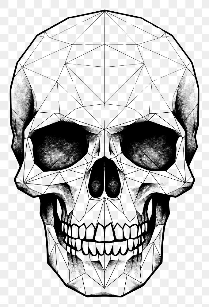 PNG  Skull sketch drawing line. AI generated Image by rawpixel.