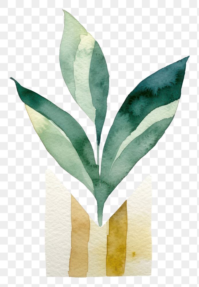 PNG Small plant leaf art white background. AI generated Image by rawpixel.