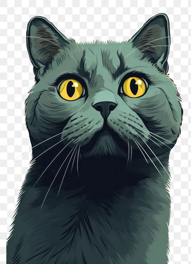 PNG Gray cat animal mammal pet. AI generated Image by rawpixel.