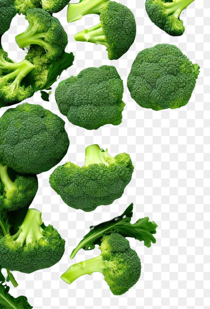 PNG  Broccoli backgrounds vegetable green. AI generated Image by rawpixel.