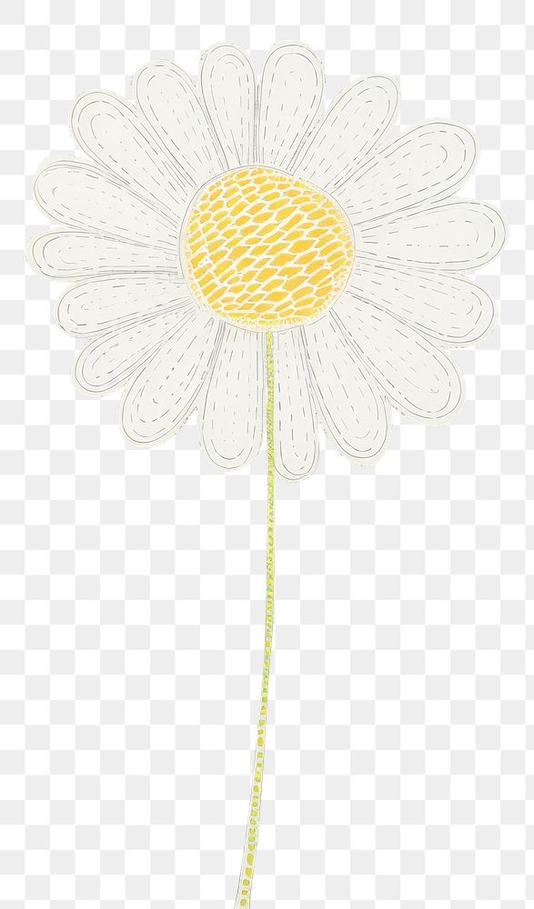 PNG A daisy backgrounds flower petal. AI generated Image by rawpixel.