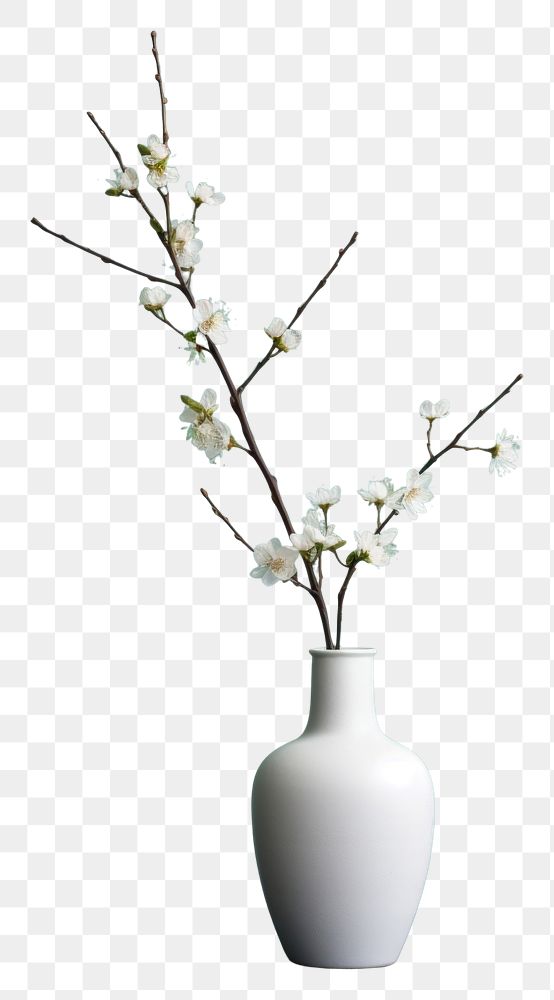 PNG Minimal vase decoration blossom flower. AI generated Image by rawpixel.